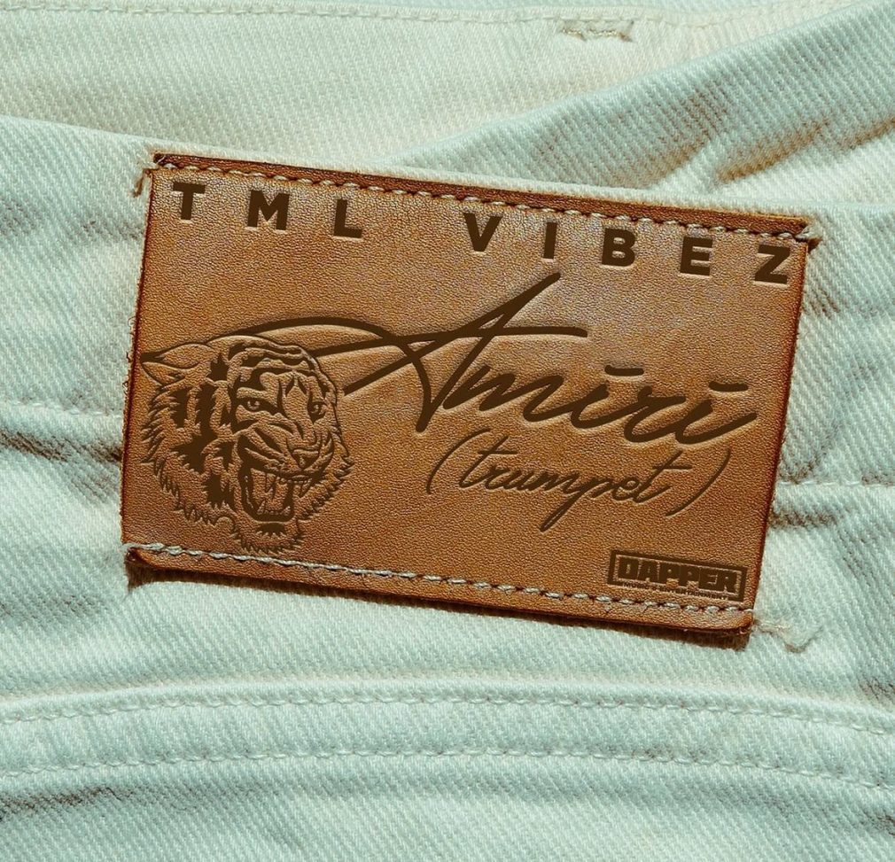 Tml Vibez – Amiri